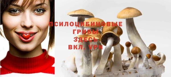 экстази Бородино