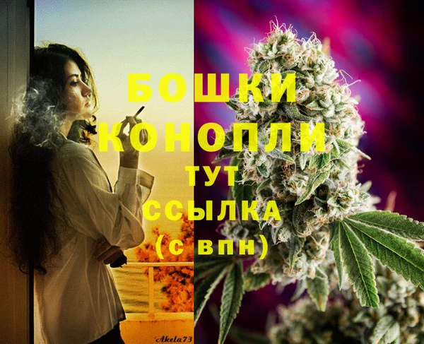Альфа ПВП Бронницы
