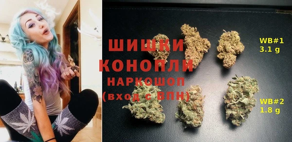 экстази Бородино