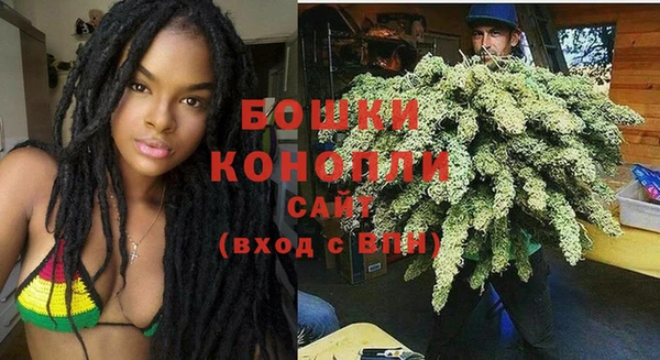 трава Слюдянка