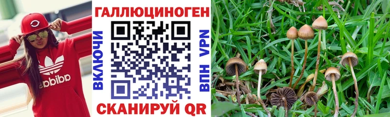 Галлюциногенные грибы ЛСД  Томмот 
