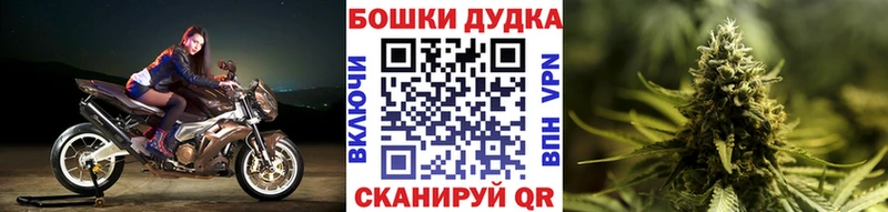 МАРИХУАНА Amnesia  где купить   Томмот 
